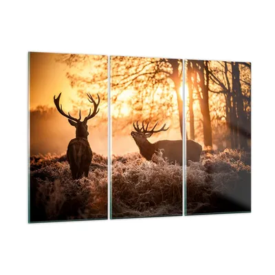 Produktbild von Bilder auf glas - Deer Heidekraut Tier - 105x70cm - Glasbilder - Wandbilder - Kunstdruck - zum Aufhängen bereit - Wanddekoration aus Glas - Glas Bilder - Wandbild auf Glas - 3 Teile - GCE105x70-3043