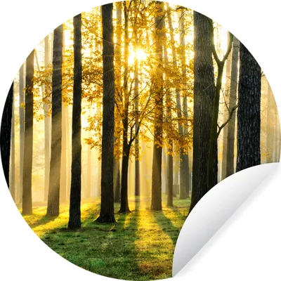Produktbild von MuchoWow® Runde Wandtattoo - Wandsticker Tapete Aufkleber Wald - Sonne - Bäume - Gras - Landschaft - Natur Ø 30 cm Selbstklebend und Repositionierbar - Wandaufkleber - Kreis - Wandbild - Fototapete - Selbstklebend - Dekoration - Wandschmuck - Schlafzimmer