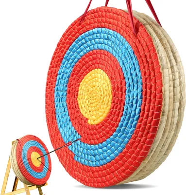 Two archery targets of different sizes are shown against a white background. An arrow is embedded in the smaller target.