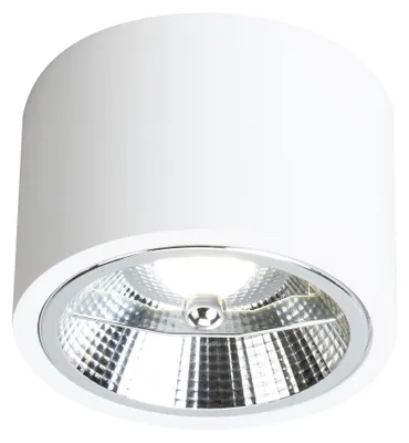 Obrázok produktu pre Montáž stropného svietidla Milagro REDONDO biele 1xAR111 GU10