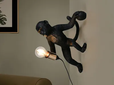 Produktbild von Besondere LED Wandleuchte Affenlampe mit Stecker und Schalter Schwarz, H: 36,5cm