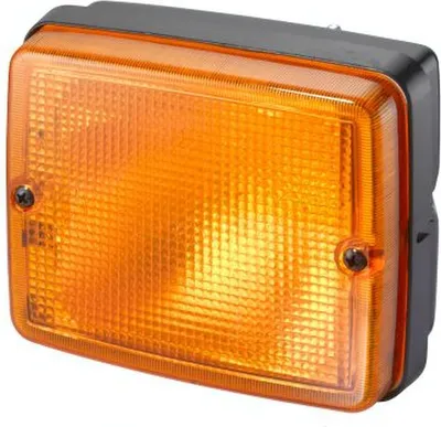 Productafbeelding van Knipperlicht, voor, rechts, 24V, P21W, HELLA, voor SETRA Serie 300