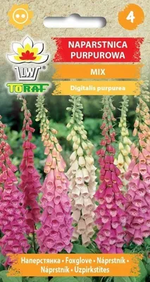 Zdjęcie produktu dla Naparstnica purpurowa MIX mieszanka Nasiona kwiatów - 598 Toraf