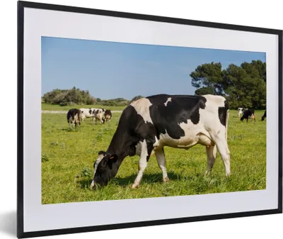 Produktbild von MuchoWow® MuchoWow® Gerahmtes Poster Kuh - Gras - Tiere - Wald 60x40 cm - Poster mit zchwarzem Bilderrahmen - Schlafzimmer - Plakat in Rahmen - Drucken
