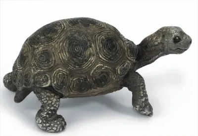 Produktbild von Schleich 14643 Riesenschildkrötenjunges