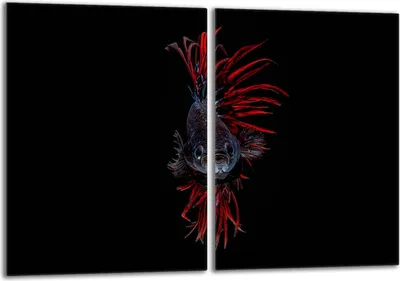 Image de Set de plaques de recouvrement pour cuisinière 2x40x52 cm Couvercle pour plaque vitrocéramique, verre anti-éclaboussures, poissons noir