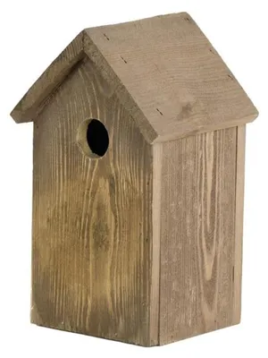 Image de Nichoir Mésange charbonnière gris