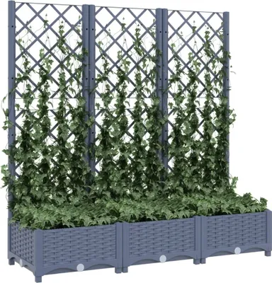 A planter box with a trellis, covered in ivy.