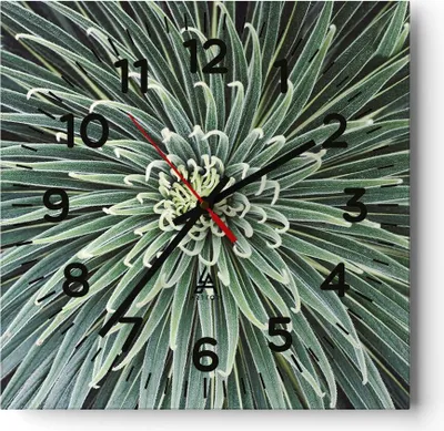 Produktbild von Wanduhr - Quadrat - Glasuhr - Agave Grün Pflanze - 30x30cm - Schleichendes Uhrwerk - Lautlos - zum Aufhängen bereit - Dekoration Modern - Wanddekoration aus Glas - C4AC30x30-4905