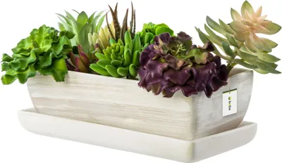 Produktbild von Blumenschale Blumentopf Untersetzer Sukkulenten 29 cm Bonsai Kakteen Leichtbeton