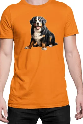 Immagine prodotto di Maglietta da uomo Dogs Breeds Weimaraner Dog Breed 008, Man 2XL , Orange