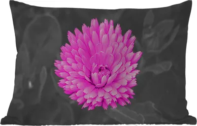 Produktbild von MuchoWow® Outdoor Kissen - Blumen - Aquarell - Rosa - 60x40 cm - Wetterfest - Lounge Kissen - Zierkissen - Kissen für Innenräume