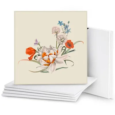 Immagine prodotto di Belle Vous 7 pezzi di tela per pittura 40x40 cm - Piccoli colori ad olio su tela - Set di tela per pittura Adatto per la pittura acrilica e ad olio, nonché per
