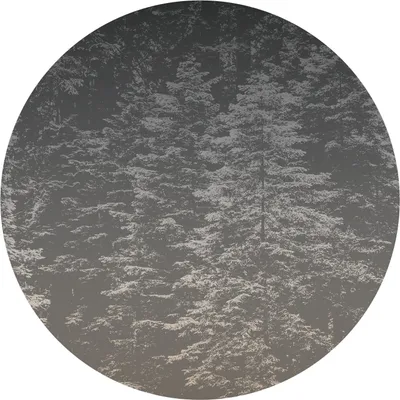 Produktbild von Fototapete 2553N-72 Digitaldruck Natur Landschaft 1.5 x 2.7 m Erismann Fashion for Walls digital Grau