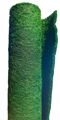 Produktbild von Kokos Winterschutz Pflanzen, Grün, 50 x 150 cm/Naturmaterial Bäume/Frostschutz Kübelpflanzen
