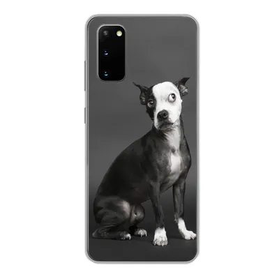 Produktbild von MuchoWow® Handyhülle Schutzhülle Hülle für Samsung Galaxy S20 Hund - Spot - Porträt Silikon Softcase Handy Hülle