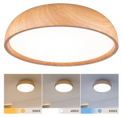 Immagine prodotto di Lampada a soffitto LED per bagno Paulmann Selection, modello Oka