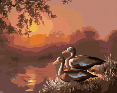 Produktbild von Zuty - Malen nach Zahlen - ENTEN AM SEE UND SONNENUNTERGANG (D. RUSTY RUST), 40x50 cm, ohne Keilrahmen