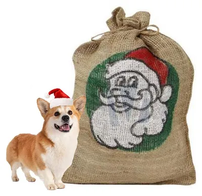 Productafbeelding van Kerstpakket voor kleine honden Het Kerstkado voor honden