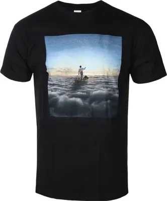 Obrázek produktu pro Pink Floyd Endless River (Back Print) Black S Tričko