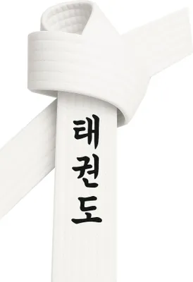Produktbild von Taekwondo Gürtel Weiß bestickt - TKD Schriftzeichen koreanisch - Weißgurt mit Kanji Bestickung - 330 cm Länge