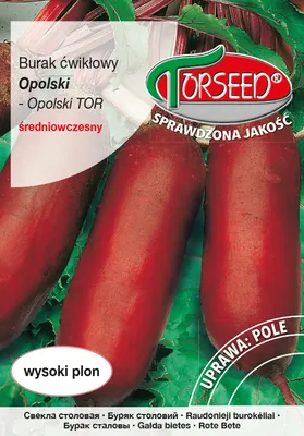 Produktbild von Rote Bete Samen Opolski 15g - Torseed