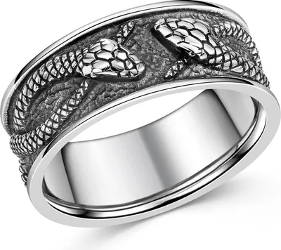 Produktbild von MATERIA by Matthias Wagner Schlangen Bandring Uni 925 Sterling Silber antik SR-172