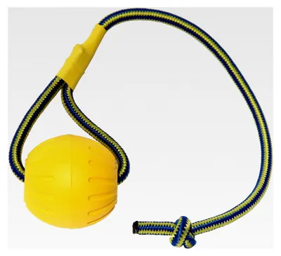 Produktbild von Hundeball mit Seil, Trainingsball aus Schaumstoff, schwimmender Ball für Hunde, kleines Spielzeug für große Hunde
