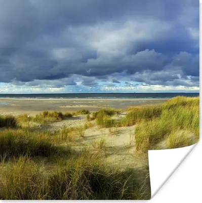 Produktbild von MuchoWow® Poster Nordsee - Vlieland - Dünen 50x50 cm - Wohnzimmerdekoration