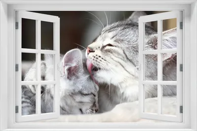 Produktbild von Wallario Poster mit Fenster-Illusion: Süße kleine getigerte Katzenbabys, Größe: 61 x 91,5 cm (Maxiposter)