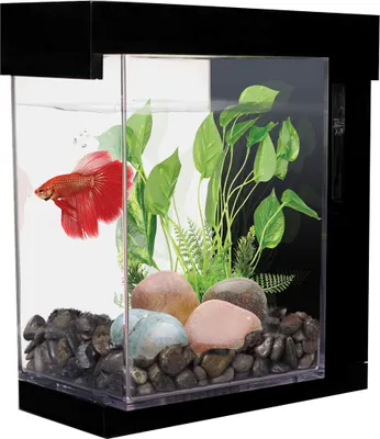 Obrázok produktu pre Marina Betta EZ Care Style Bettera, 3,7 l, Schwarz