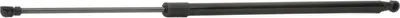 Produktbild von RIDEX 219G0009 Gasfeder Heckklappendämpfer für RENAULT Scénic I (JA0/1, FA0) 595mm