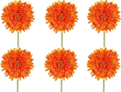 Produktbild von 6er Set künstliche Gerbera orange H. 60cm mit fülliger Blüte GASPER Kunstblumen