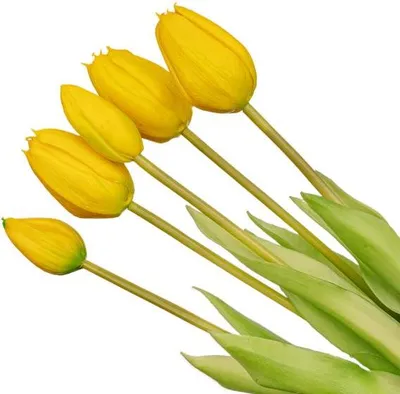 Immagine prodotto di Mazzo di tulipani gialli, 5 tulipani artificiali da 42cm, effetto realistico