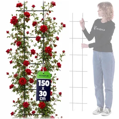 Zdjęcie produktu dla KADAX Krata Ogrodowa Do Roślin Pnących Pergola 30x150