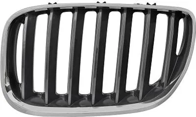 Produktbild von DIEDERICHS 1290043 Kühlergrill Frontgrill für BMW X5 (E53) Links Chrom Schwarz