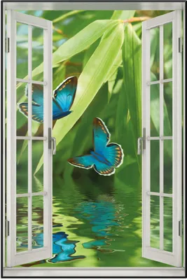 Produktbild von Wallario Wandbild mit Fenster-Illusion: Schmetterlinge in Reflektion, Größe: 61 x 91,5 cm, Poster mit schwarzem Aluminiumrahmen