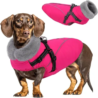 Imagen del producto de Abrigo impermeable para perros, con forro de polar, talla M, para uso en exteriores