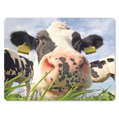 Produktbild von MuchoWow® Mauspad Mousepad Kuh - Bauernhof - Gras - Tiere 23x19 cm - Mousepads - Maus Mat - Pad - Mausunterlage - Schreibtischunterlage - Mauspad