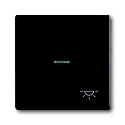 Obrázek produktu pro Busch-Jaeger 1751-0-3045, Knoflíky, Černá, Plast, 63 mm, 63 mm, 1 kusů