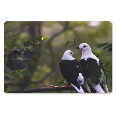 Produktbild von MuchoWow® Schreibtischunterlage Vögel - Zweig - Blätter 60x40 cm - XXL Mauspad - Großes Mauspad