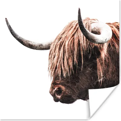 Produktbild von MuchoWow® Poster Schottisches Hochlandrind - Tiere - Hörner 100x100 cm - Babyzimmer
