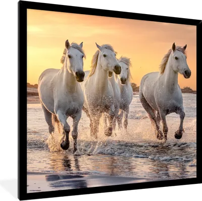 Produktbild von MuchoWow® Gerahmtes Poster Pferde - Sonne - Meer - Strand - Tiere 40x40 cm - Poster mit Schwarzem Bilderrahmen Wandposter Rahmen Foto Bilder - Mit Rahmen - Wanddekoration Schlafzimmer