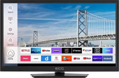 Obrázok produktu pre ECG 24HSL231M, 61 cm (24"), 1366 x 768 px, HD, LED, Wi-Fi, Strieborná