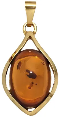 Produktbild von Anhänger echter Bernstein orange-braun 375 Gold Gelbgold Halsschmuck