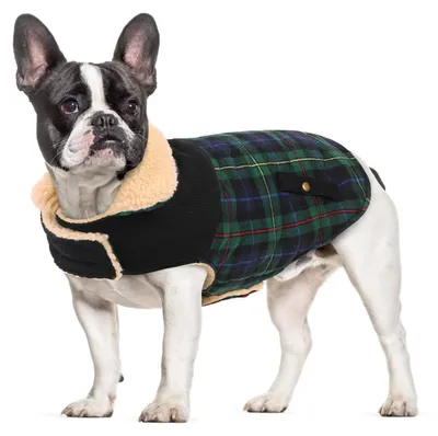 Produktbild von Warmer Hundemantel Fleece mit Geschirrloch Grün L