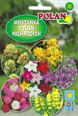 Zdjęcie produktu dla NASIONA Kwiatów Mieszanka Pachnąca Mix 2g Kwiaty Pachnące 412049
