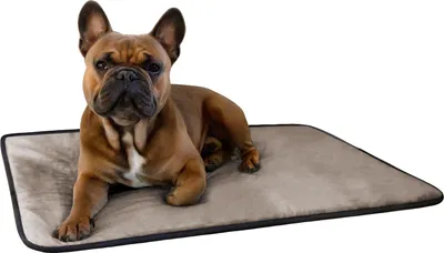 Produktbild von Aspero Hundedecke