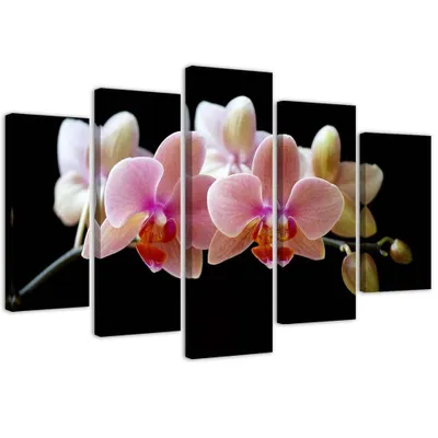 Produktbild von 5-teiliges leinwandbild rosa orchidee 200x100 cm Feeby rosa wandbild bereit zum aufhängen