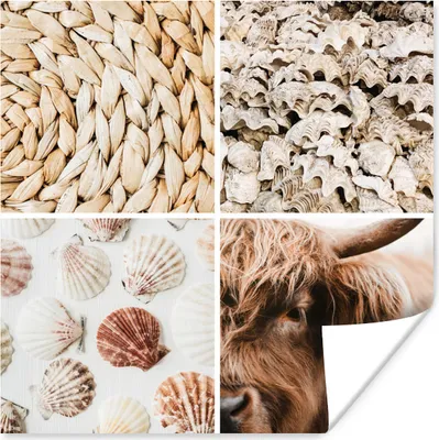 Produktbild von MuchoWow® Poster Schottisches Hochlandrind - Collage - Muscheln - Strand 100x100 cm - Babyzimmer